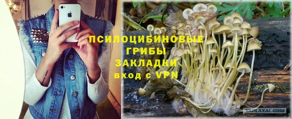 не бодяженный Волоколамск