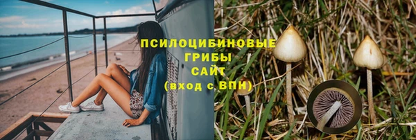 не бодяженный Волоколамск