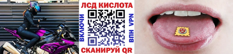 где купить   Черняховск  darknet телеграм  Марки N-bome 1,8мг 